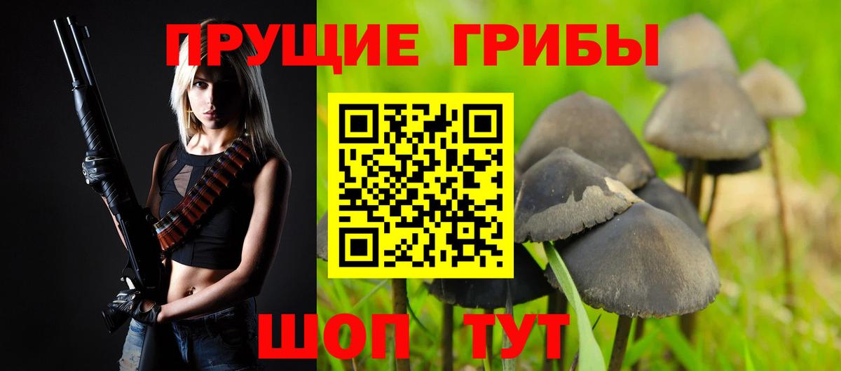 Псилоцибиновые грибы прущие грибы  Галлюциногенные грибы прущие грибы  Карталы  Вход с VPN 